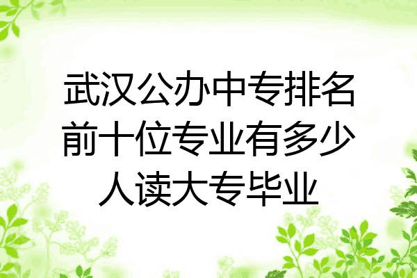 武汉公办中专排名前十位专业有多少人读大专毕业