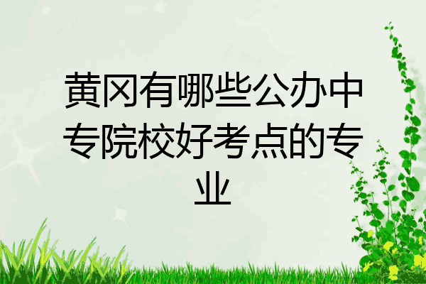 黄冈有哪些公办中专院校好考点的专业