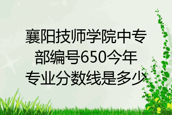 襄阳技师学院中专部编号650今年专业分数线是多少