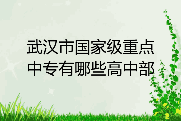 武汉市国家级重点中专有哪些高中部