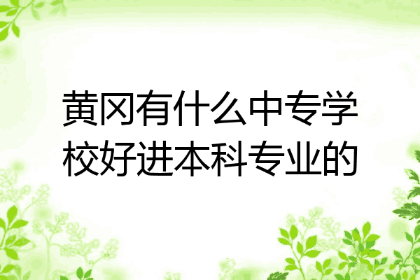 黄冈有什么中专学校好进本科专业的