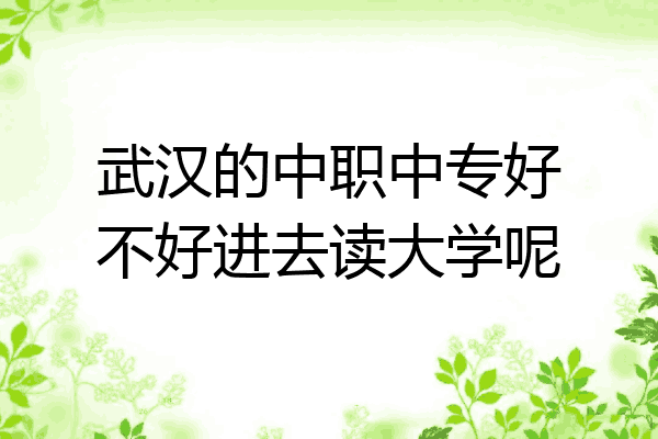 武汉的中职中专好不好进去读大学呢