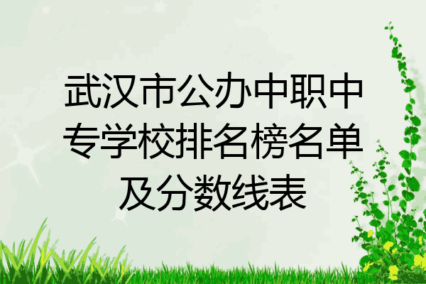 武汉市公办中职中专学校排名榜名单及分数线表