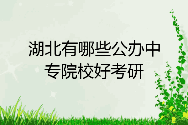 湖北有哪些公办中专院校好考研