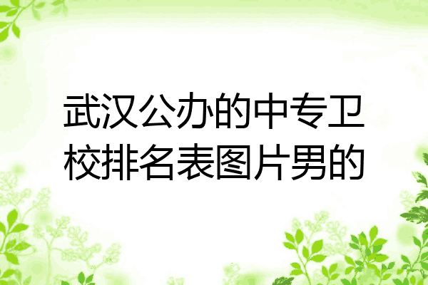 武汉公办的中专卫校排名表图片男的