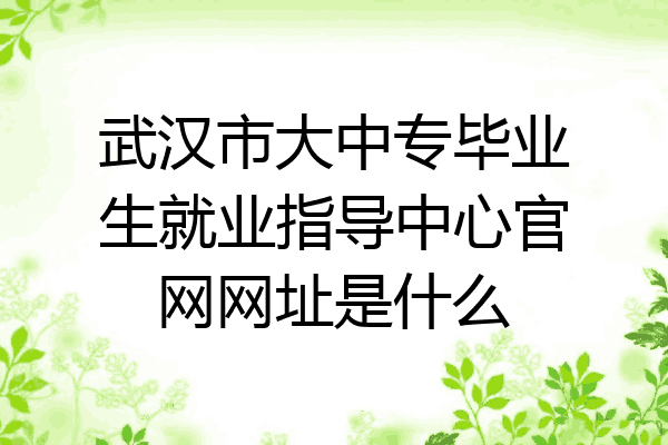 武汉市大中专毕业生就业指导中心官网网址是什么