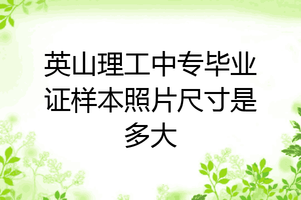 英山理工中专毕业证样本照片尺寸是多大