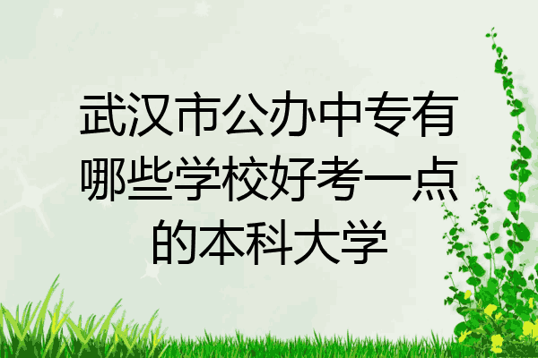 武汉市公办中专有哪些学校好考一点的本科大学