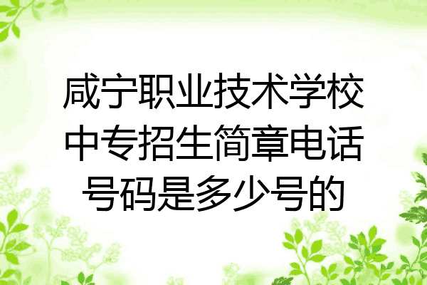 咸宁职业技术学校中专招生简章电话号码是多少号的