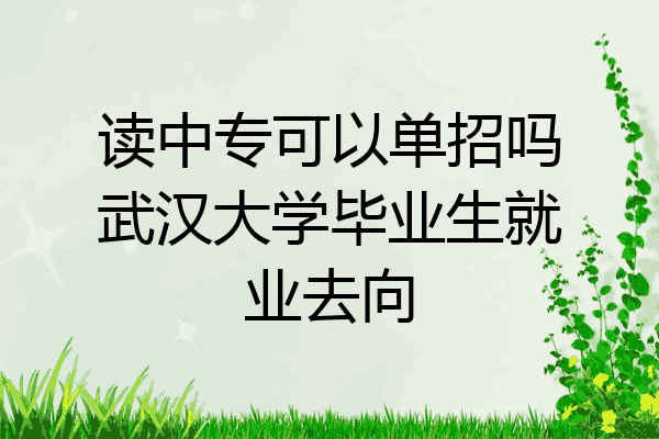 读中专可以单招吗武汉大学毕业生就业去向