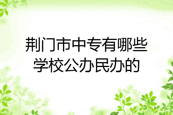 荆门市中专有哪些学校公办民办的