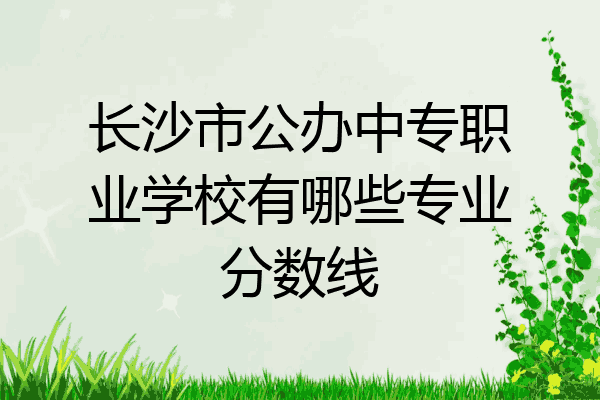 长沙市公办中专职业学校有哪些专业分数线