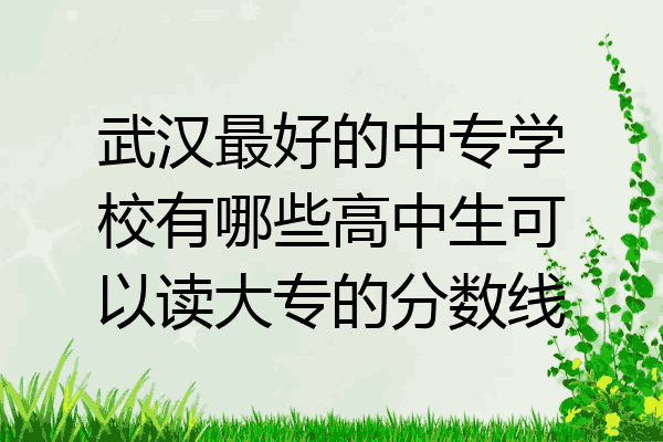 武汉最好的中专学校有哪些高中生可以读大专的分数线
