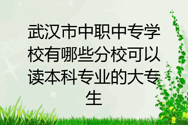 武汉市中职中专学校有哪些分校可以读本科专业的大专生