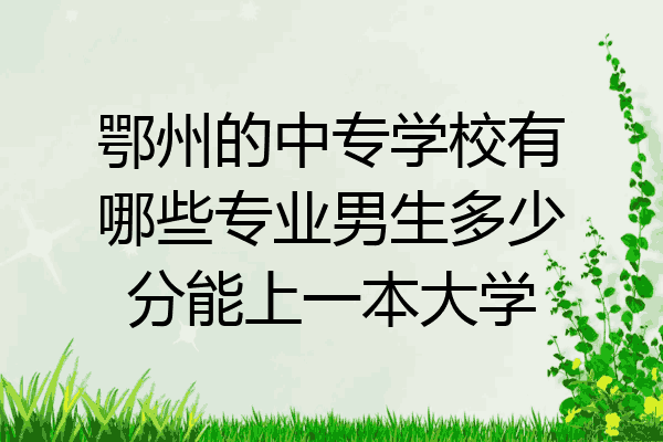 鄂州的中专学校有哪些专业男生多少分能上一本大学