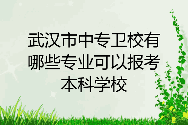 武汉市中专卫校有哪些专业可以报考本科学校