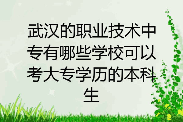 武汉的职业技术中专有哪些学校可以考大专学历的本科生