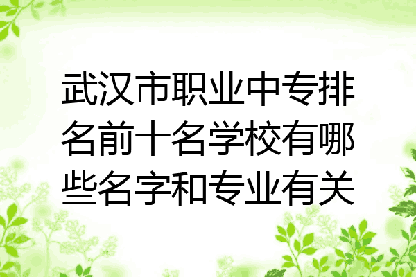 武汉市职业中专排名前十名学校有哪些名字和专业有关