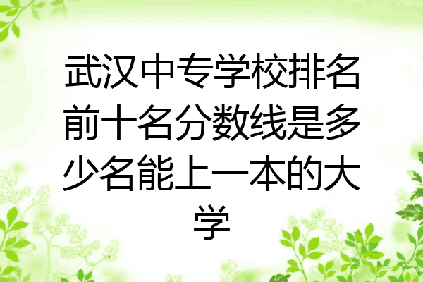 武汉中专学校排名前十名分数线是多少名能上一本的大学