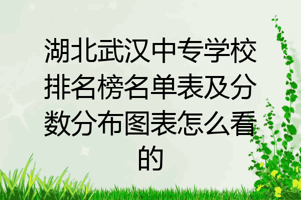 湖北武汉中专学校排名榜名单表及分数分布图表怎么看的