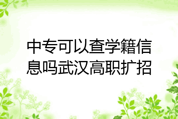 中专可以查学籍信息吗武汉高职扩招