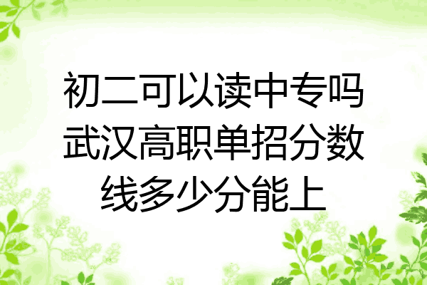 初二可以读中专吗武汉高职单招分数线多少分能上