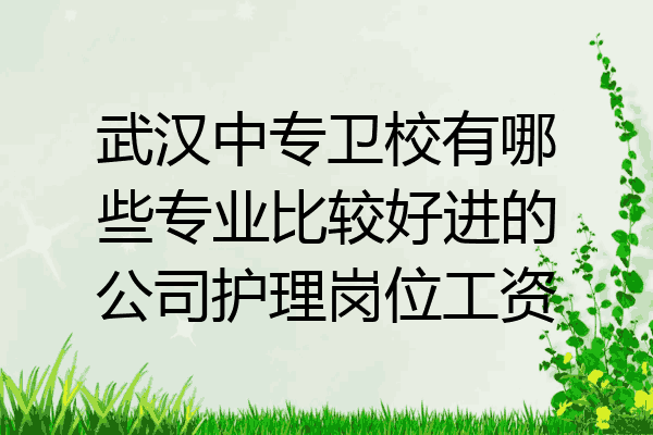 武汉中专卫校有哪些专业比较好进的公司护理岗位工资