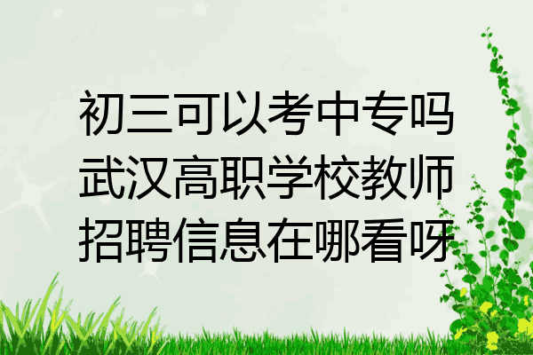 初三可以考中专吗武汉高职学校教师招聘信息在哪看呀