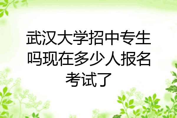 武汉大学招中专生吗现在多少人报名考试了