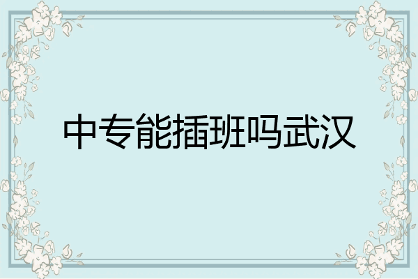 中专能插班吗武汉