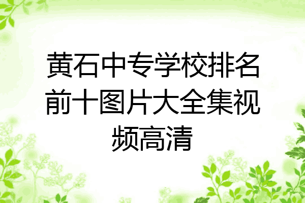 黄石中专学校排名前十图片大全集视频高清