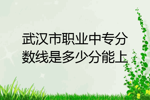 武汉市职业中专分数线是多少分能上