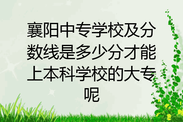 襄阳中专学校及分数线是多少分才能上本科学校的大专呢