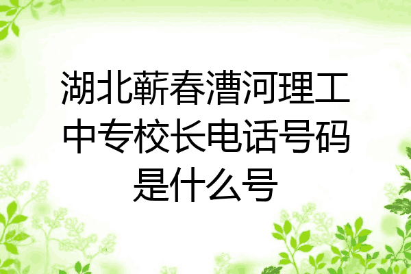 湖北蕲春漕河理工中专校长电话号码是什么号