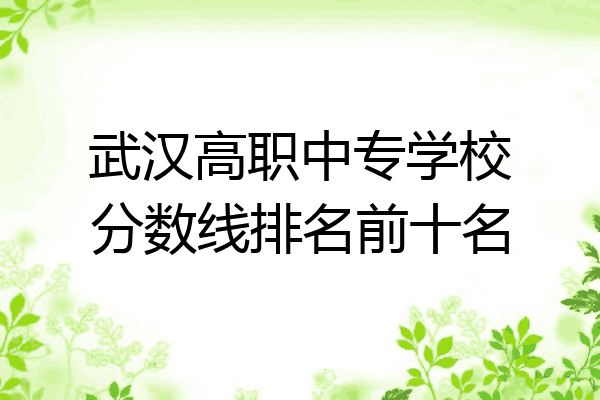 武汉高职中专学校分数线排名前十名