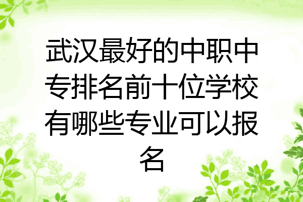 武汉最好的中职中专排名前十位学校有哪些专业可以报名