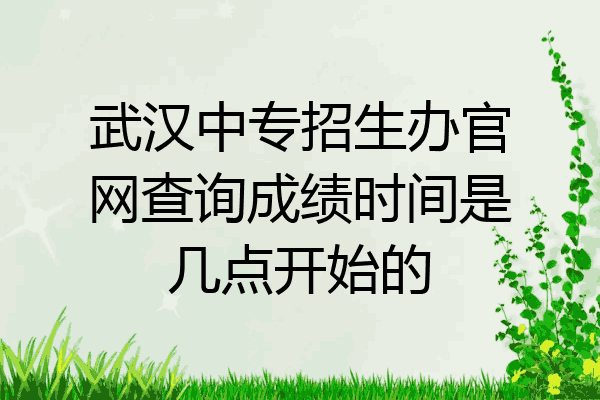 武汉中专招生办官网查询成绩时间是几点开始的