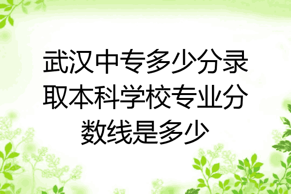 武汉中专多少分录取本科学校专业分数线是多少