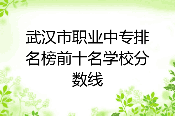 武汉市职业中专排名榜前十名学校分数线