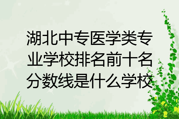 湖北中专医学类专业学校排名前十名分数线是什么学校