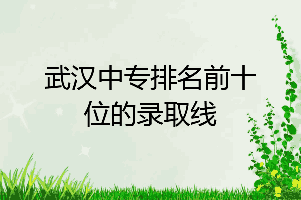 武汉中专排名前十位的录取线