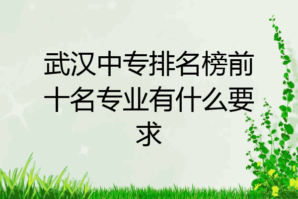武汉中专排名榜前十名专业有什么要求