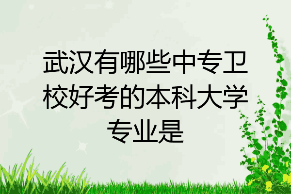 武汉有哪些中专卫校好考的本科大学专业是
