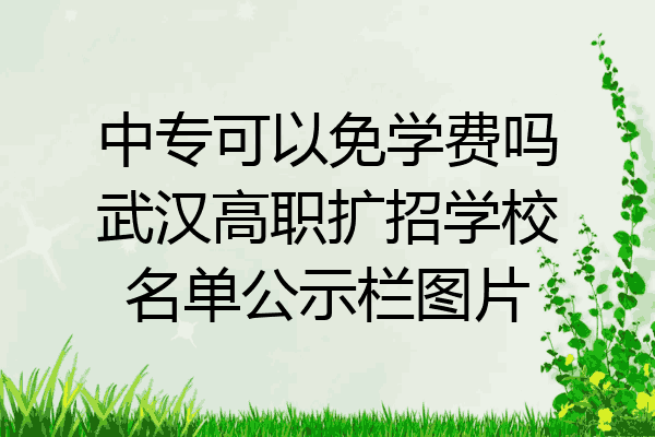 中专可以免学费吗武汉高职扩招学校名单公示栏图片
