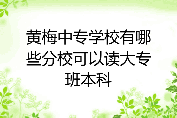 黄梅中专学校有哪些分校可以读大专班本科