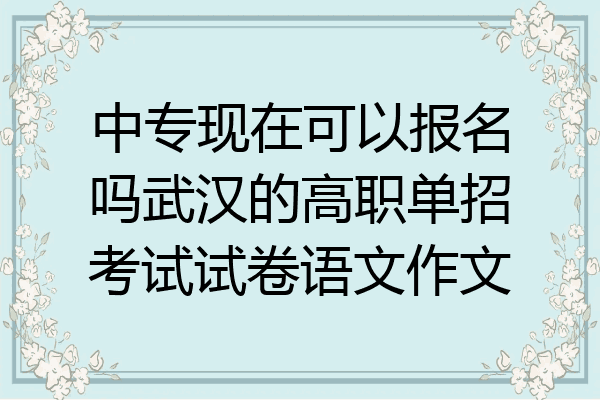 中专现在可以报名吗武汉的高职单招考试试卷语文作文