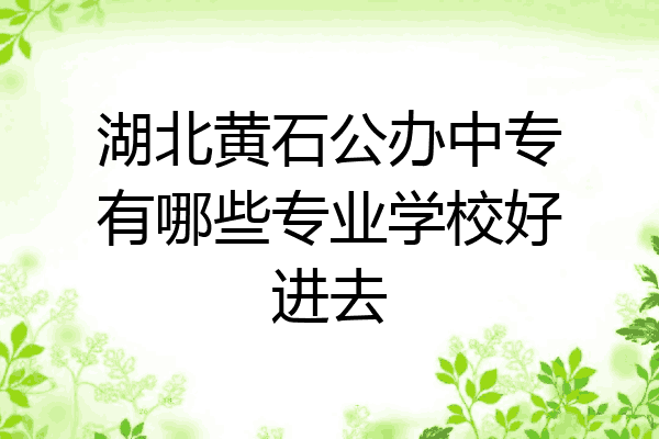 湖北黄石公办中专有哪些专业学校好进去