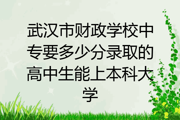 武汉市财政学校中专要多少分录取的高中生能上本科大学