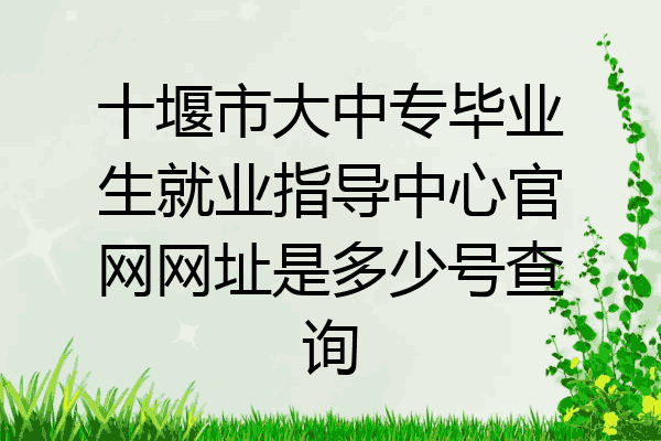 十堰市大中专毕业生就业指导中心官网网址是多少号查询