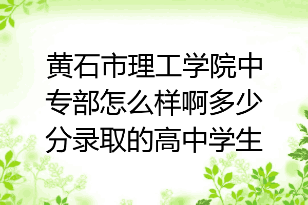 黄石市理工学院中专部怎么样啊多少分录取的高中学生